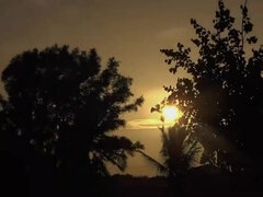 Πίπα, Πούτσος, Νοικοκυρά, Ινδιάνος, Ώριμη γυναίκα, Έφηβος, Ματάκιας, Η σύζυγος