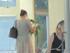 Красотки, Блондинки, Брюнетки, Мастурбация, Соло