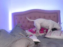 Africano africana, Traseiro, Bundão, Negroa, Latina, Pontos de vista, Xoxota, Câmera de web webcam