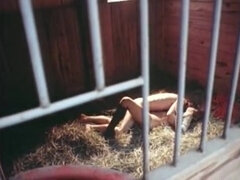 Ameriški, Babe, Fafanje, Grupni, Hardcore, Orgija, Muco, Najstnice