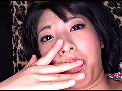 Mačiatko, Japonské