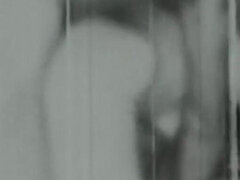 Enthousiasteling, Amerikaans, Kont, Grote kont, Stel, Harig, Ouderwets, Softcore pornografie