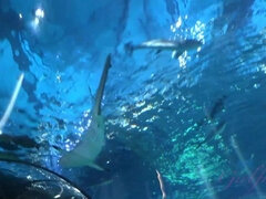 Perse, Ranta, Suihinotto, Jalkahoito, Tyttöystävä, Karvainen, Käsihoito, Pillu