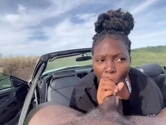 Testes gyönyörű hölgy, Gépkocsi, Elkapott, Ébenfekete, Rendőrség, Nyilvános