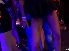 Kotě, Šílené, Erotika, Skupina, Honění, Hardcore, Párty, Kozičky