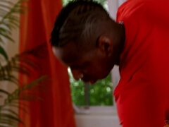 Fekete, Cumizás, Fajok közötti, Anyuci, Pornósztárok, Nuni, Durva, Begyek