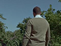 Anal, Babe, Store bryster, Pik sutte, Brunette, Ældre kvinde, Mor jeg gerne vil kneppe, Bryster