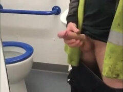 Homo