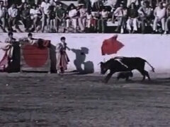 Engraçadinhoa, Peludoa, Hardcore, Vintage