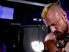 Anál, Vysokoškolačka, Fisting, Gay, Hardcore, Svaly, Hračky