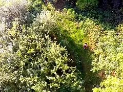 Kukk suging, Skitten, Ansiktssperm, Fingring, Hd, Utendørs, Tenåring, Pupper