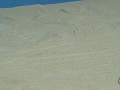 18, 茶髪の, グループ, ハードコア, Hd, オージー, 小柄, オッパイの