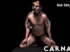 Velké péro, Kuřba, Fetiš, Gay, Hd, Svaly