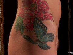 Rumpe, Søt, Dype svelg, Fetisj, Naturlig, Brystvorter, Orgasme, Fitte