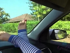 Bruinharig, Hd, Gezichtspunt