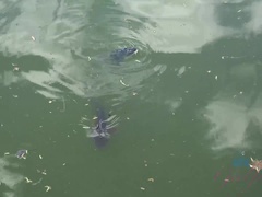 흑인, 부츠, 드레스, 공개동영상, 셀카, 보지, 짧은 머리, 빼빼한