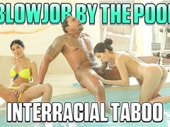 Veľké péro, Čierne, Kuřba, Českej, Hd, Obrovský čurák, Medzirasové, Teenka