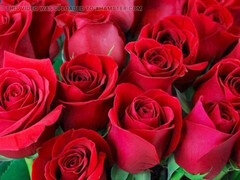 Anális szex, Seggről a szájra, Pár, Indiai, Érett koros, Érett feleség, Anyuci, Tabu