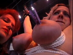 Szépség, Tekintélyes didik, Kötözés, Pénisz, Kőkemény, Hd, Leborotvált, Fenekelés