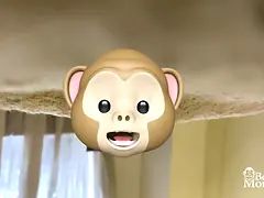 18 летние, Любители, Большая жопа, Блондинки, Хд, Мастурбация, Соло, Игрушки