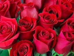 Zadek k puse, Velký zadek, Kuřba, Homemade, Indické, Dospělé, Milf žcbp, Mamina