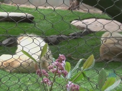 Fürdőszoba, Maszti, Duzzadt bimbók, Nuni, Dohányzás, Begyek, Játékszerek, Vibi