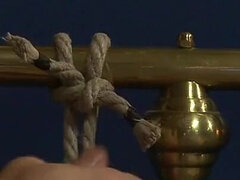Aziatisch, Bondage discipline sadomasochisme, Pijpbeurt, Sperma shot, Dominatie, Handbeurt, Trio