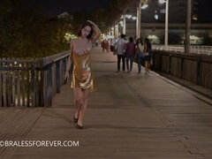 Velika rit, Velike joške, Blondinka, Fafanje, Spodnje perilo, V javnosti