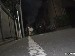 Asiáticoa, Boquete, Loucoa, Hardcore, Japonêsa