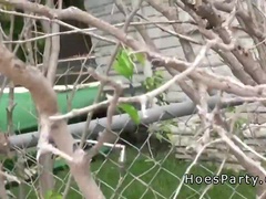 Leie, Vollbusig, Studentin, Flotter vierer, Gruppe, Hardcore, Riesig, Realität