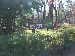 Amador amadora, Vagina gozada cu gozado, Pés, Namorada, Óleo, Piercing, Tatuagem, Provocar