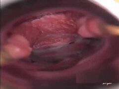 Amateur, Asiático, Japonés, Camara web