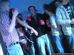 Enthousiasteling, Grote mammen, Bruinharig, Universiteit, Sperma shot, Hardcore, Zuigen, Tieten likken