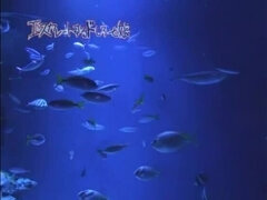 Store pupper, Samling, Japaner, Synsvinkel, Trekant