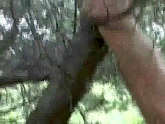 Amatéři, Pláž, Táta, Gay