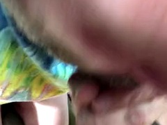 Homo