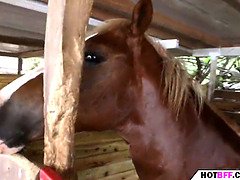 Grosse titten, Natürlichen titten, Orgie, Party, Muschi, Jungendliche (18+), Flotter dreier, Titten