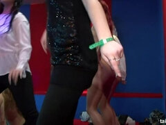 Pik, Hundestilling, Gruppe, Hæle, Læder, Sutte, Swingers, Trekant