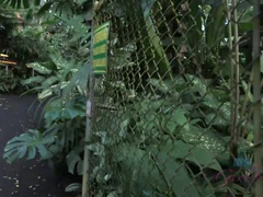 Amatoriale, Toccando, Sfavillanti, Fidanzata, Sega, Punto di vista pov, Pubblico, Gonna