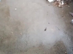 18 ans, Asiatique, Beauté, Petite amie, Indienne, Mamelons, Professeur, Épouse