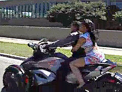 Doggie, amatuers, amatuer